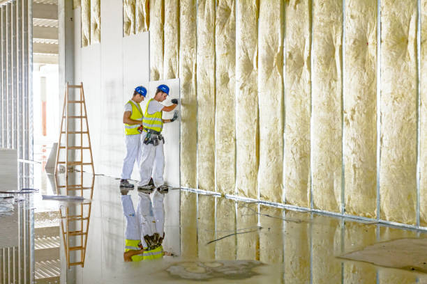 Best Energy-efficient Insulation  in Great Neck Gardens, NY